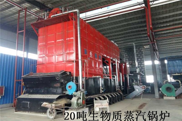 20T Biomass Steam boiler