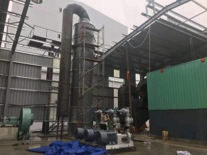 Thermal Oil Boiler (3)