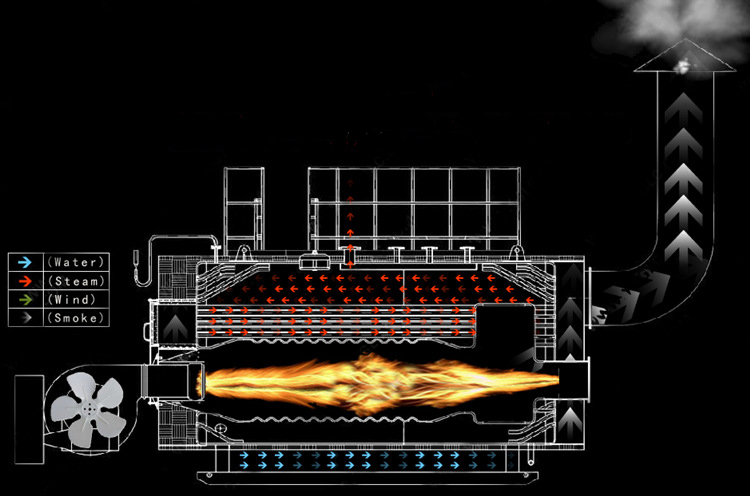 WNS Steam Boiler Layout