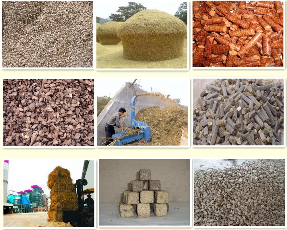 biomass boiler Fuel list